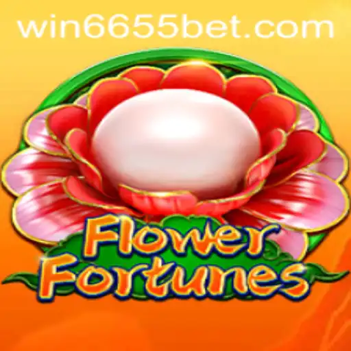 6655bet Casino App